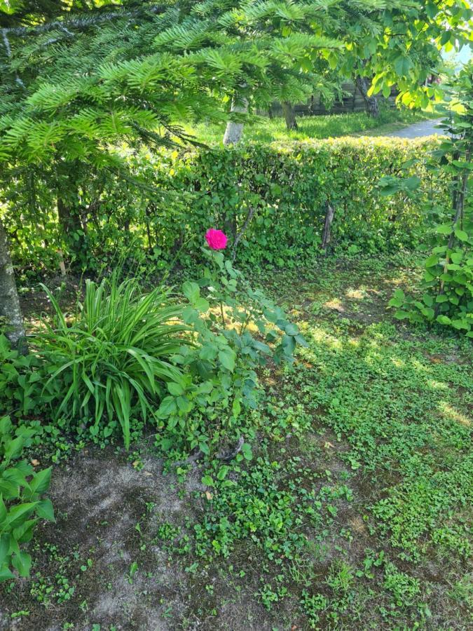 Holiday Home Hizica V Plavem Trnacu Gornja Stubica エクステリア 写真