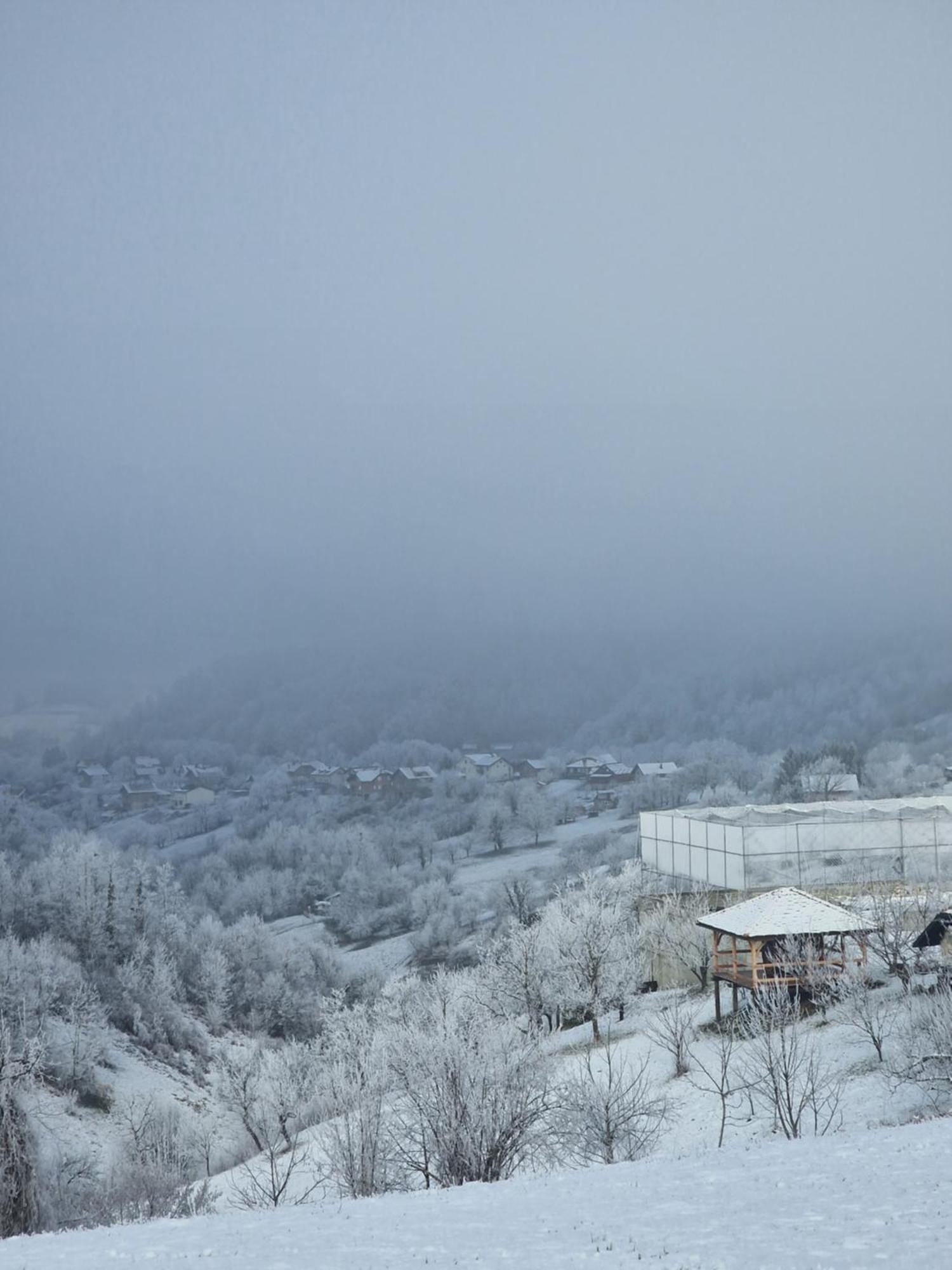 Holiday Home Hizica V Plavem Trnacu Gornja Stubica エクステリア 写真