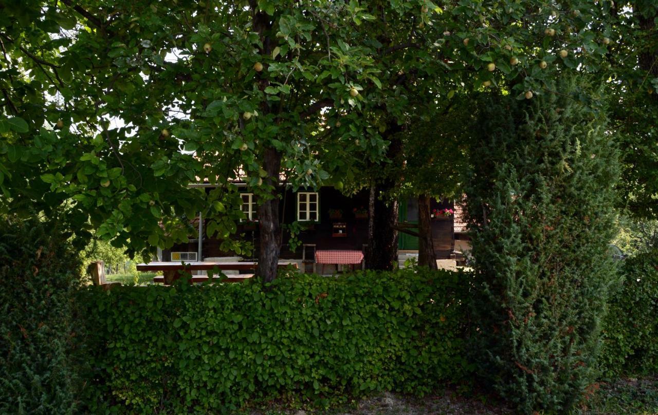 Holiday Home Hizica V Plavem Trnacu Gornja Stubica エクステリア 写真